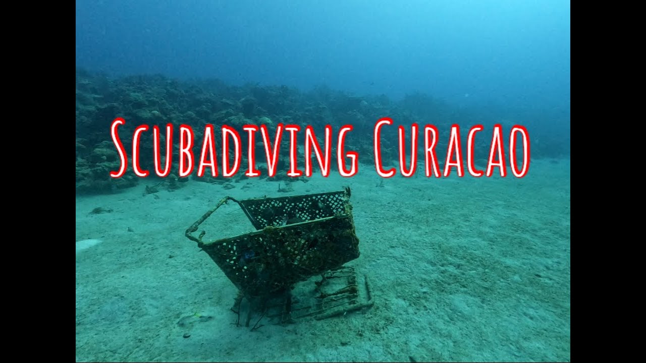Tauchen auf Curacao - Double Reef
