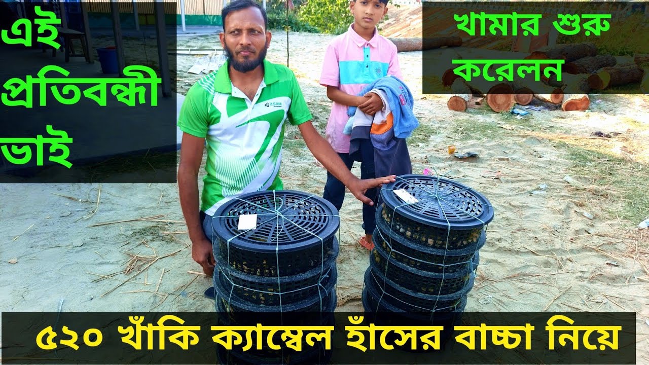 মহাখালীর এক প্রতিবন্ধী ভাই ৫২০ পিস বাচ্চা দিয়ে খামার শুরু করলেন #farming #duck#sortvideo#হাসখামার