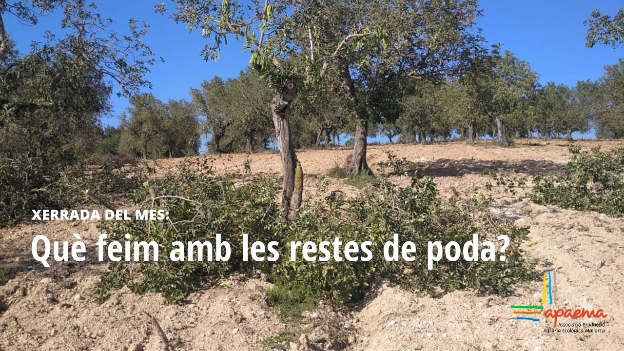 Què feim amb les restes de poda? | Xerrada del mes