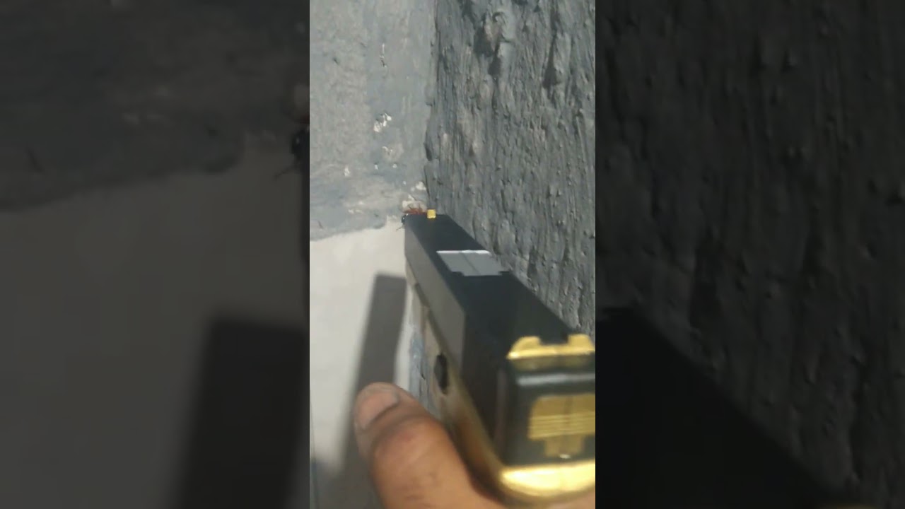 Glock G17 airsoft ROSSI vs baratinha na parede #airsfot #brincadeiras