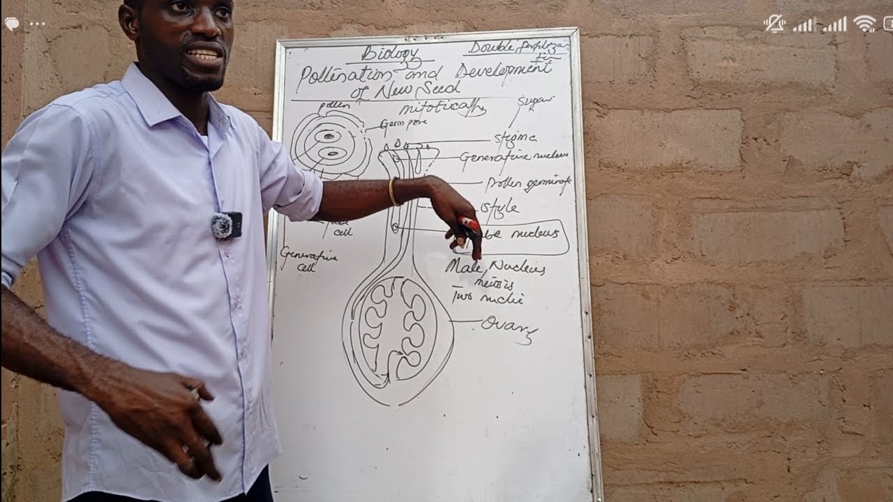 Pollination and Development of new seed - Flower, seed and Germination types