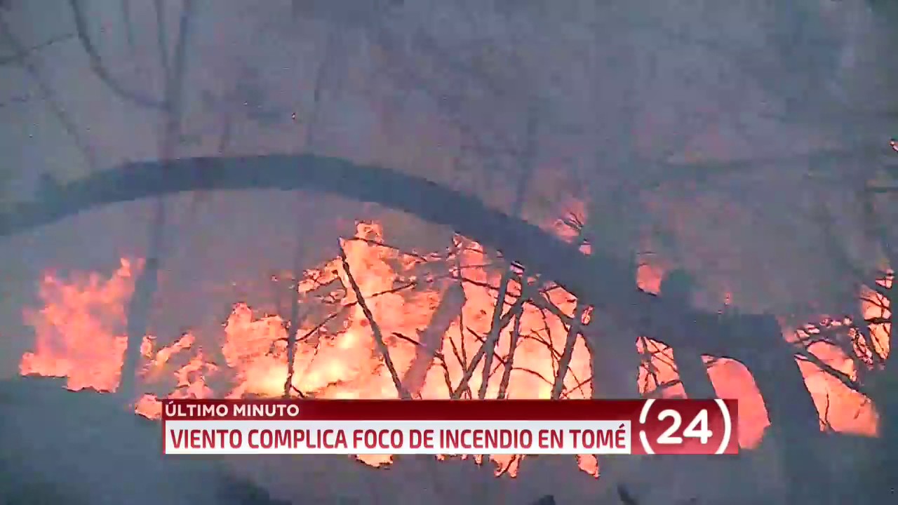 Alcalde de Tomé: Incendio en Dichato es "incontrolable" y se evalúa evacuación | 24 Horas TVN Chile