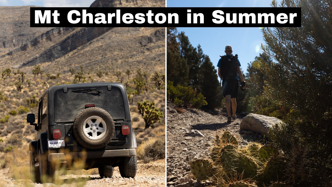 First Las Vegas Adventure! Hiking in Mt Charleston/Spring Mountains