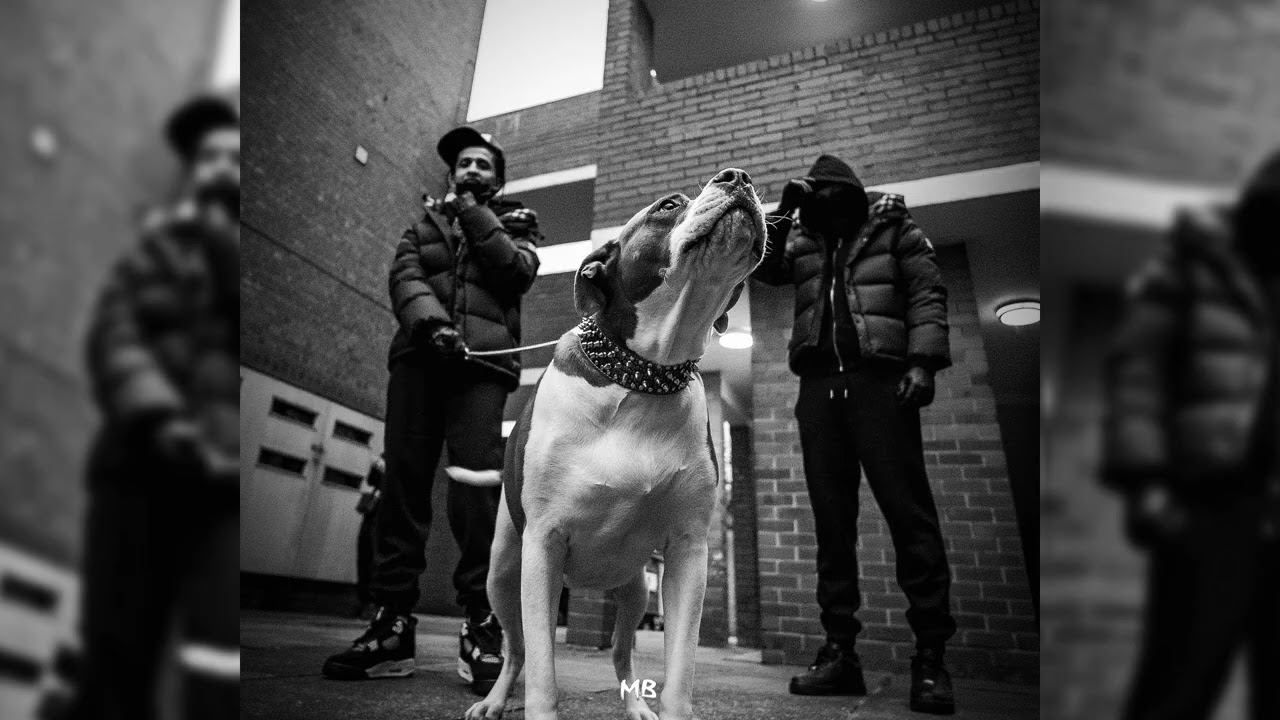 Freestyle Boom Bap Beat | 