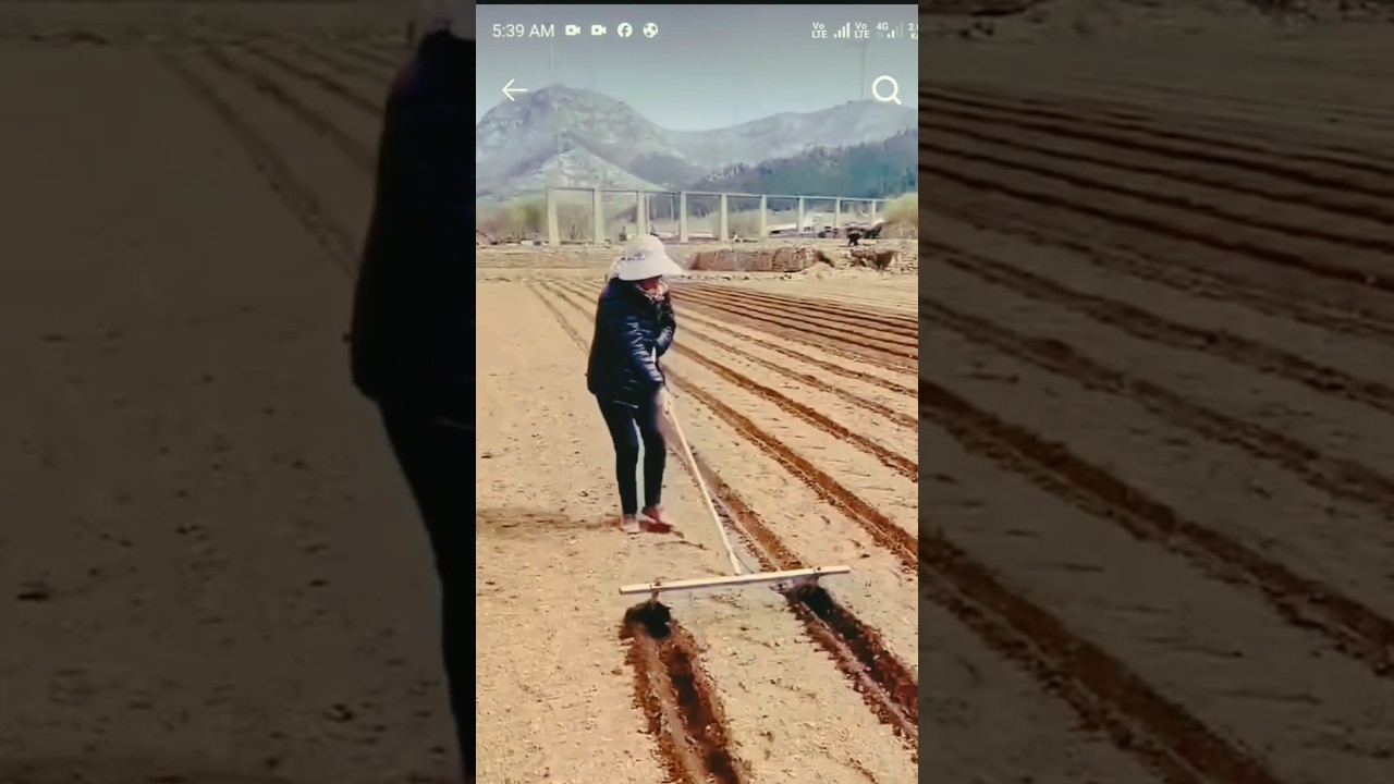 Amazing China rural agriculture 