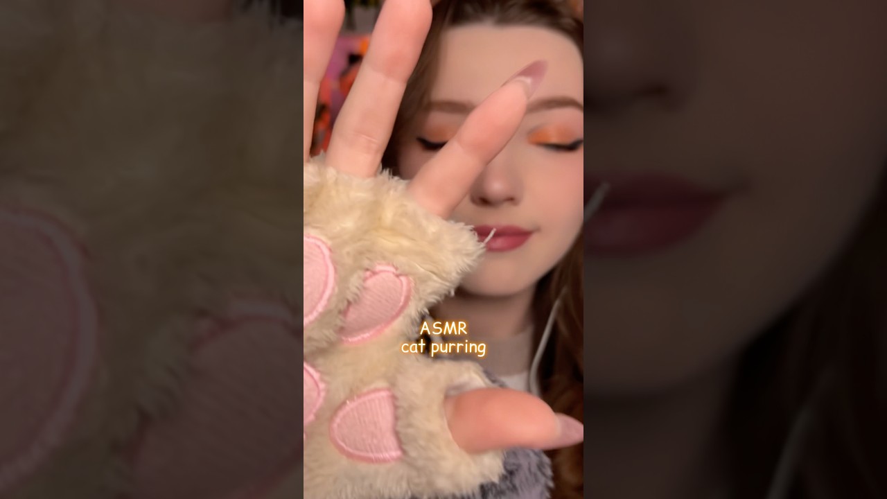 Cat purring 