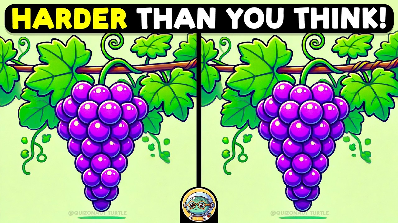 🐢🧩 Spot 3 Differences | Brainy Fun Awaits 🧩🐢