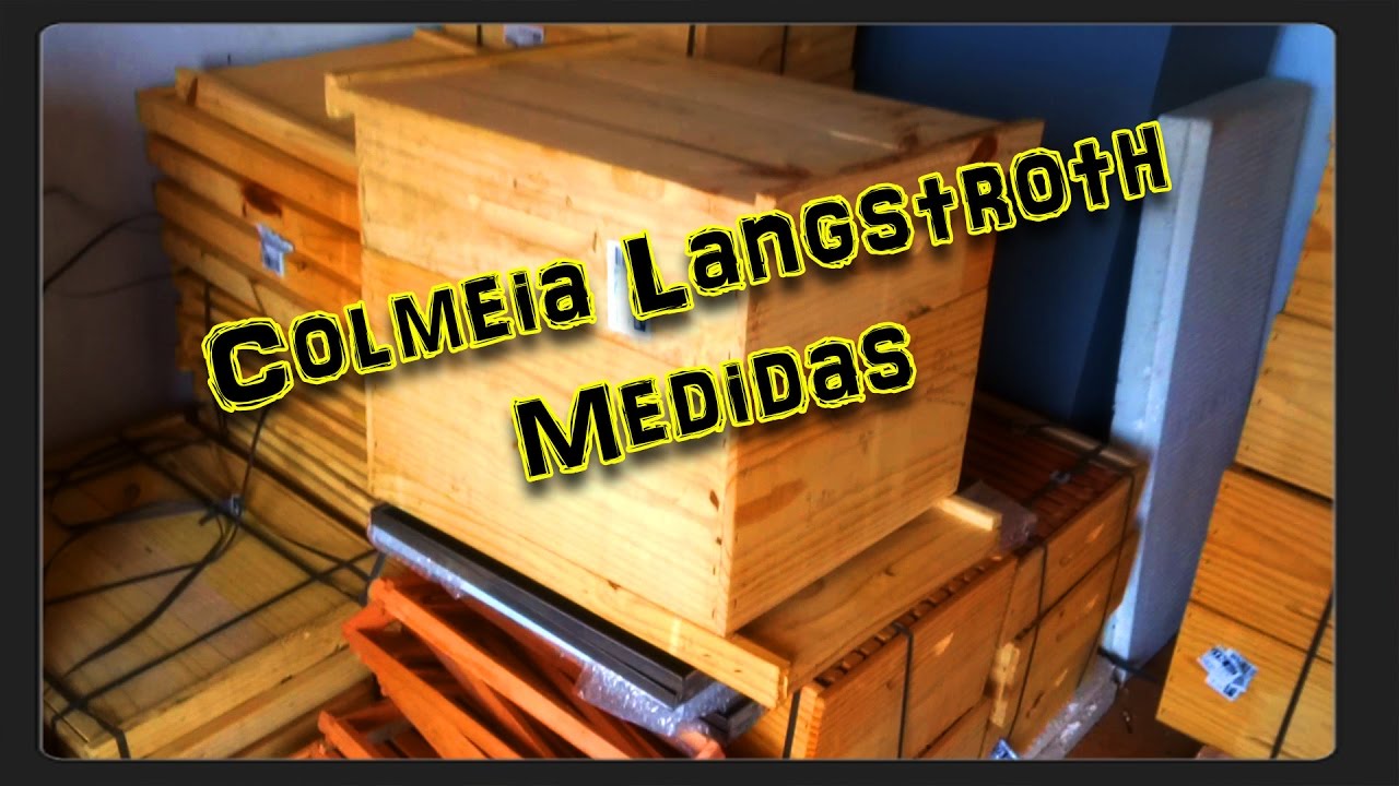 Colmeia Padrão Langstroth.