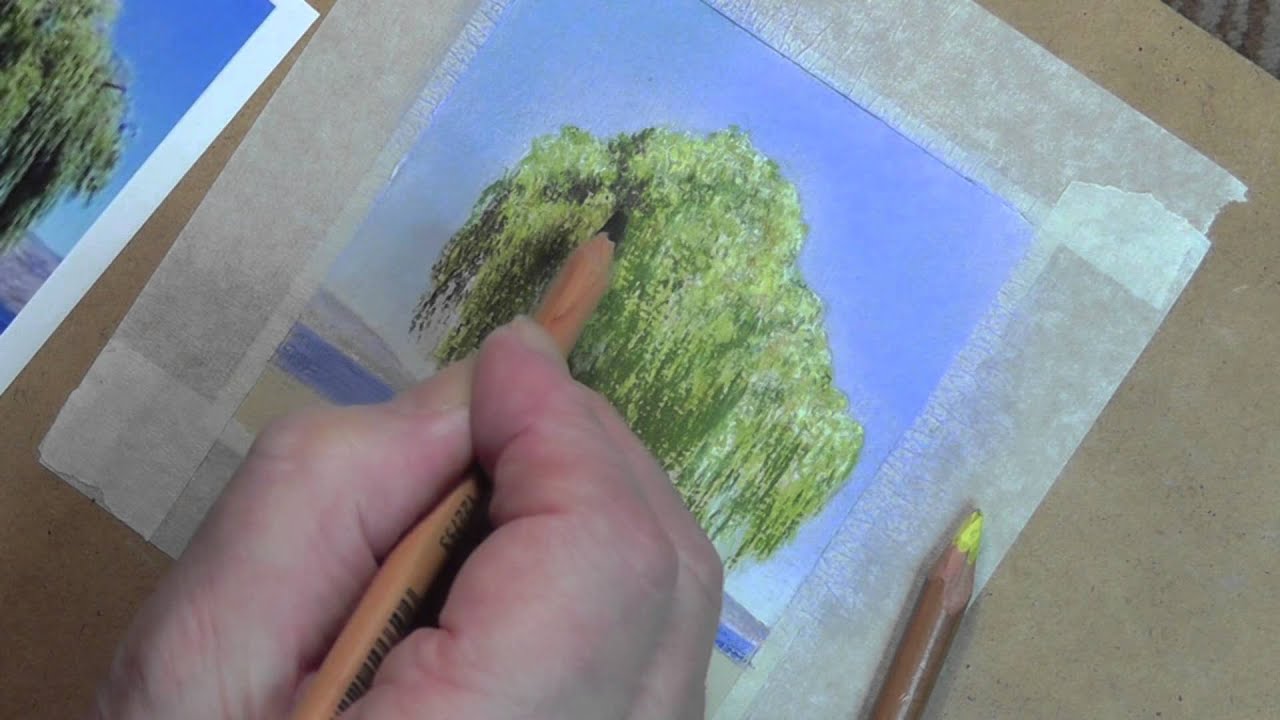 Draw this Willow Tree using Pastel Pencils