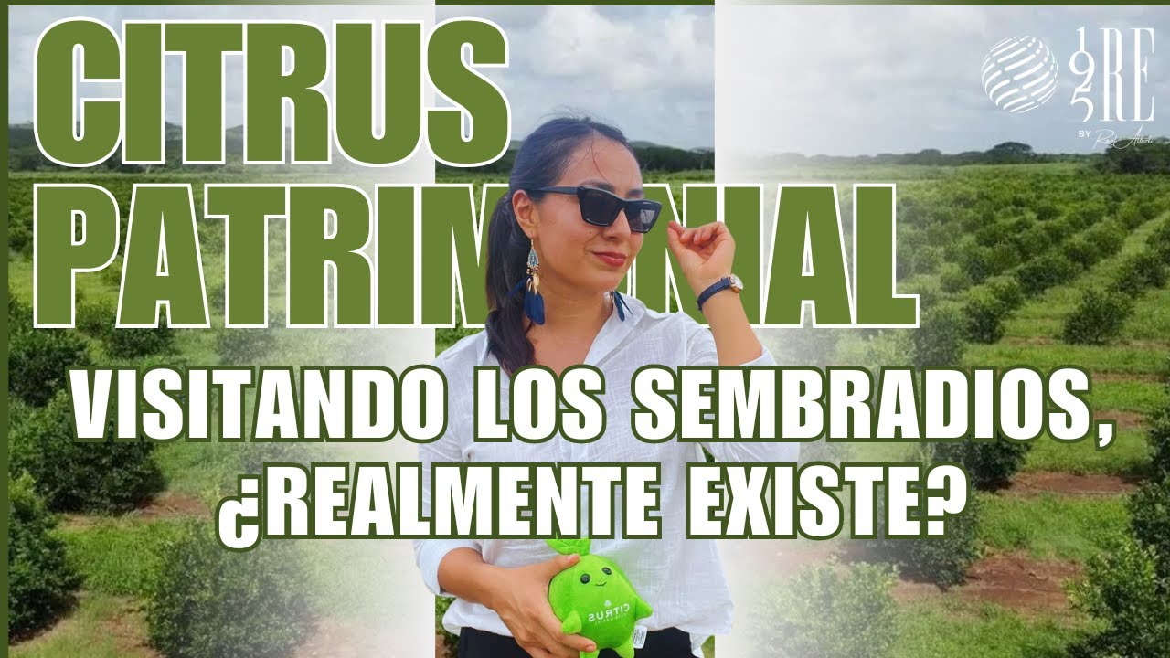🍋‍🟩Visitando los sembradios de CITRUS PATRIMONIAL 🍋‍🟩 ¿Realmente existen 🤔?