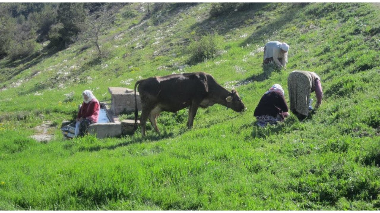 Ağlama Sakın - Eski Dertli Yanık Türküler...!!! Çok Özel Köy Görüntüleri...!!!
