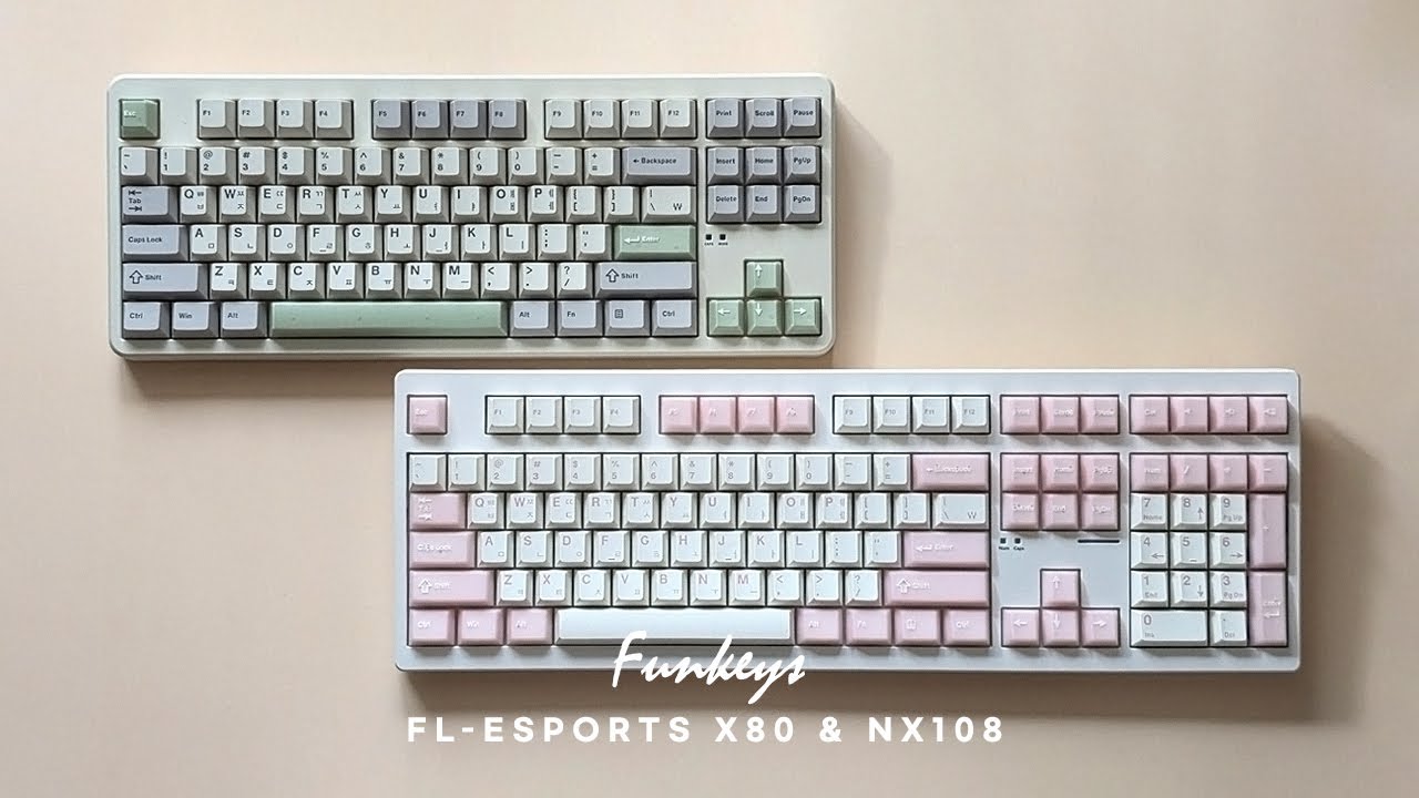 FL-ESPORTS X80 & NX108