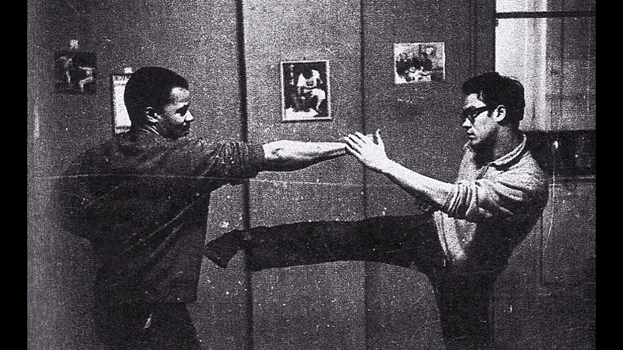 DU WING CHUN AU JKD - Pierre Hartmann - Gaël lacault