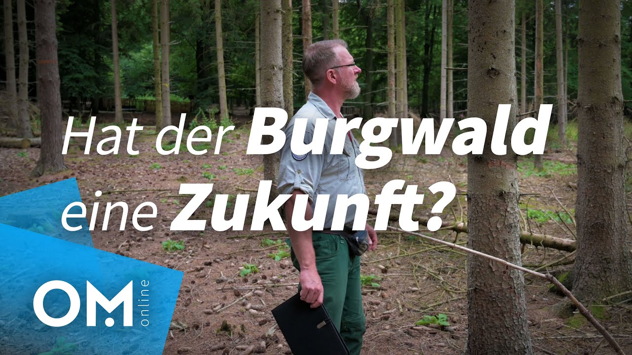 Wie sieht der Förster den Dinklager Burgwald der Zukunft?