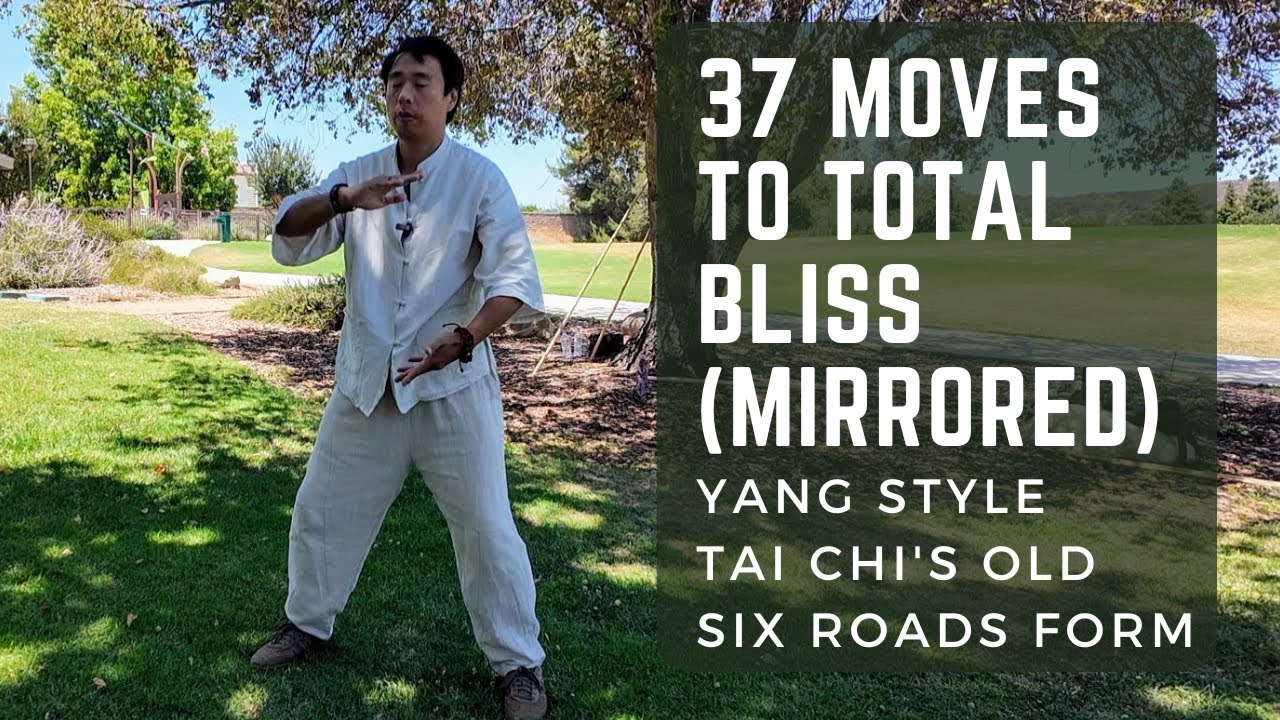 37 движений к полному блаженству – практика зеркальной формы Шести дорог Ян Тайцзи