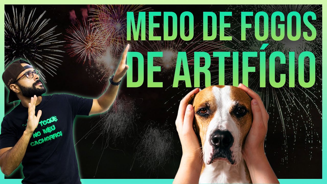 Cachorro Com Medo De Fogos De Artifício - O Que Fazer? [DogBio Training]