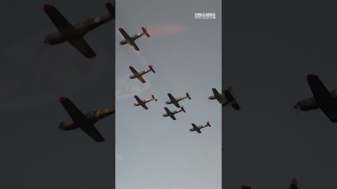 TB-30 Epsilon – Esquadra 101 – “Roncos”