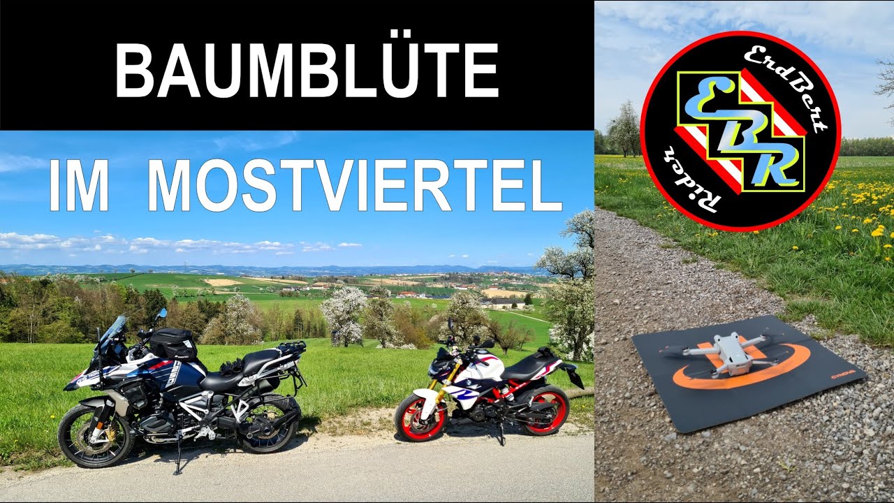 Baumbl&uuml;tentour / Baumbl&uuml;te im Mostviertel / G310R, R1250GS / Vater & Tochter