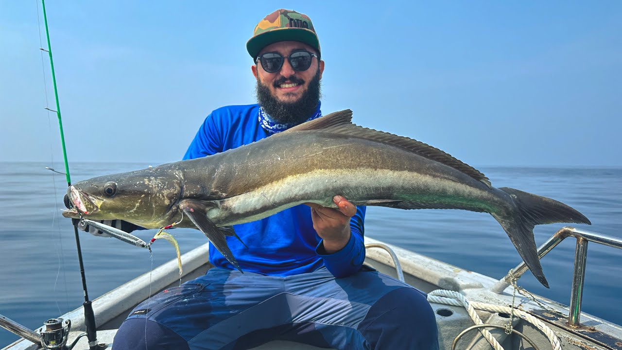New Species Unlocked! | Kuala Rompin, Malaysia 2024 |