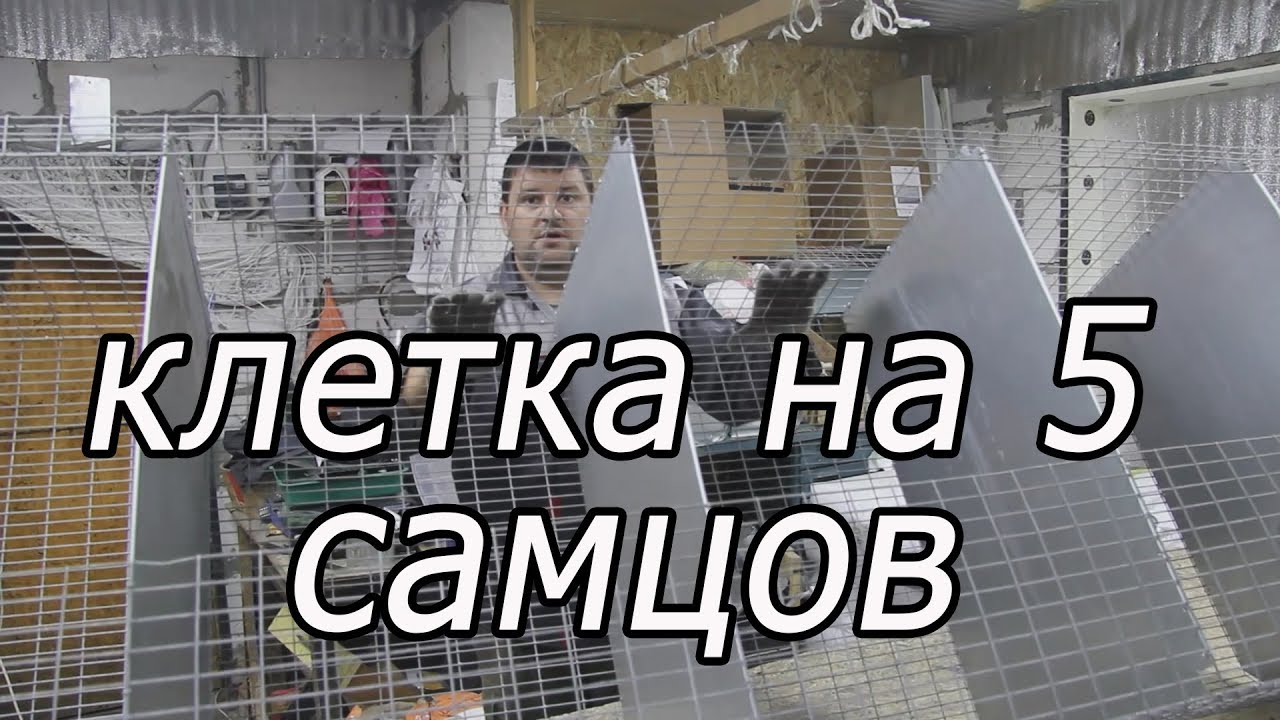 КАК СДЕЛАТЬ КЛЕТКУ ДЛЯ САМЦОВ, клетка из сетки.