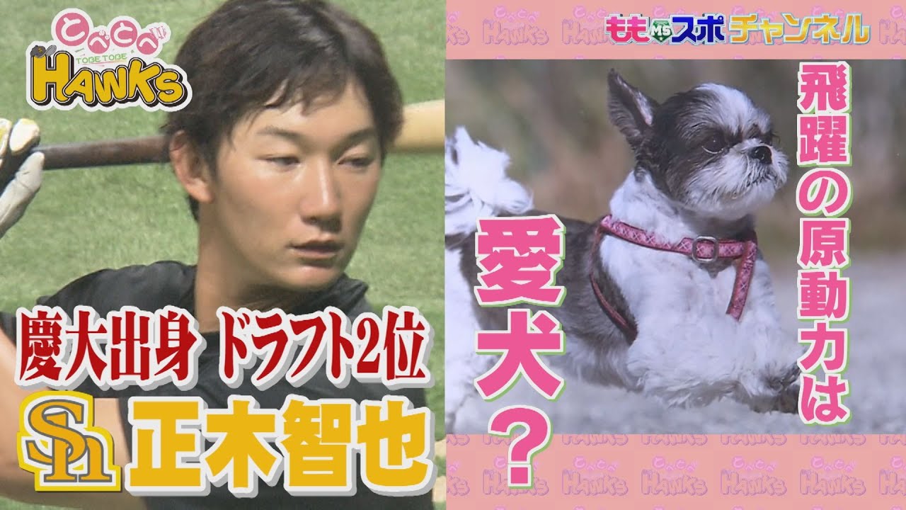 【公式】鷹新人正木の原動力は愛犬？#76(2022年9月28日OA）｜テレビ西日本