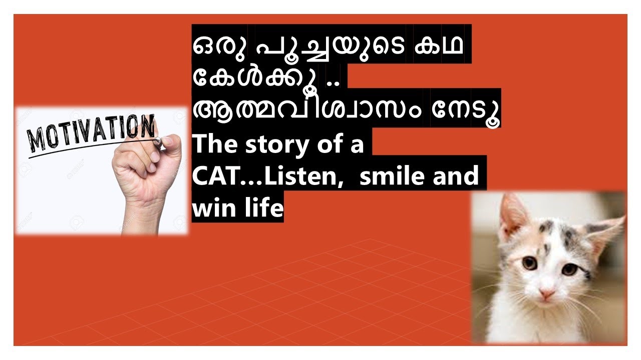 Win Your Life ഒരു പൂച്ചയുടെ കഥ കേള്ക്കൂ ആത്മവിശ്വാസം നേടൂ. @Motivation_Malayalam  Nandu Kavalam​