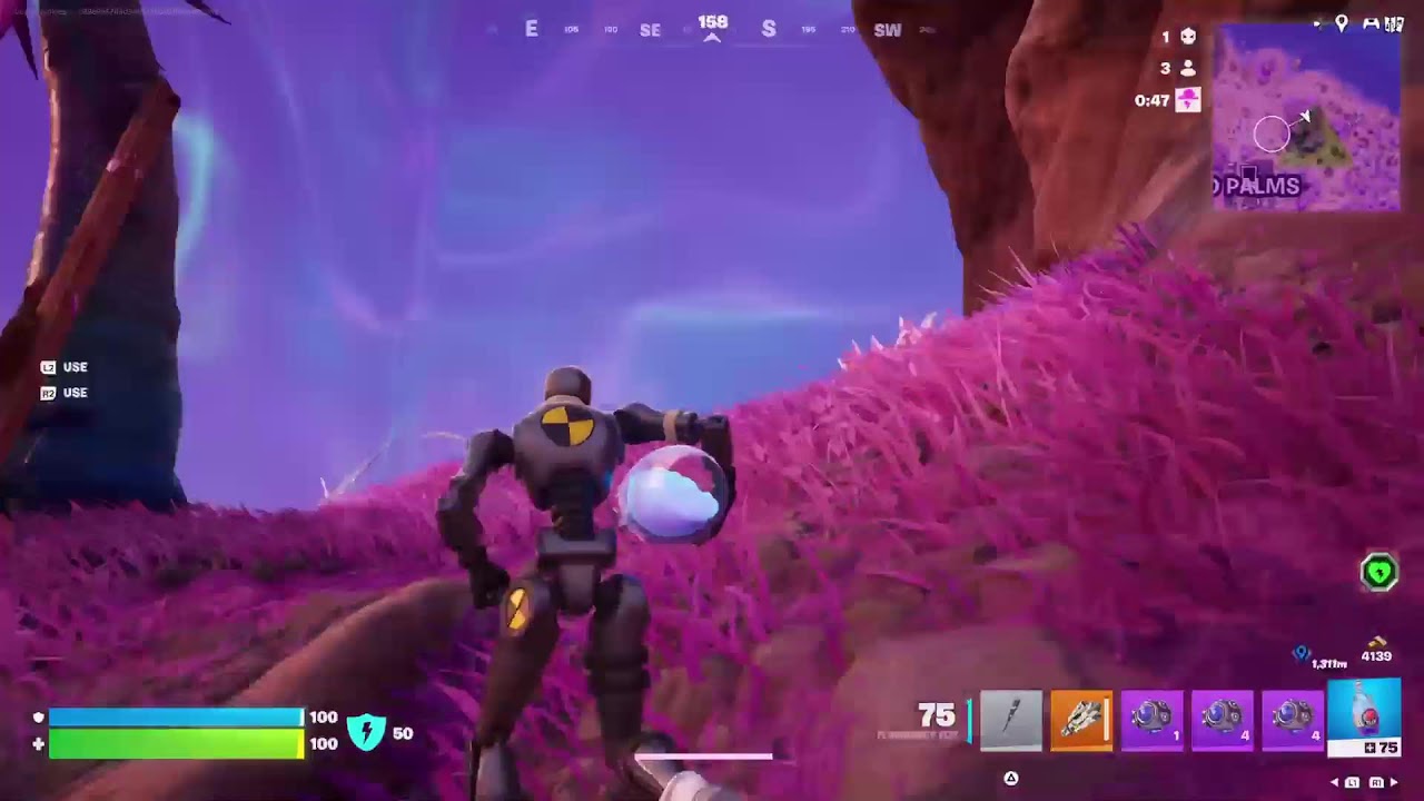 Fortnite Solo