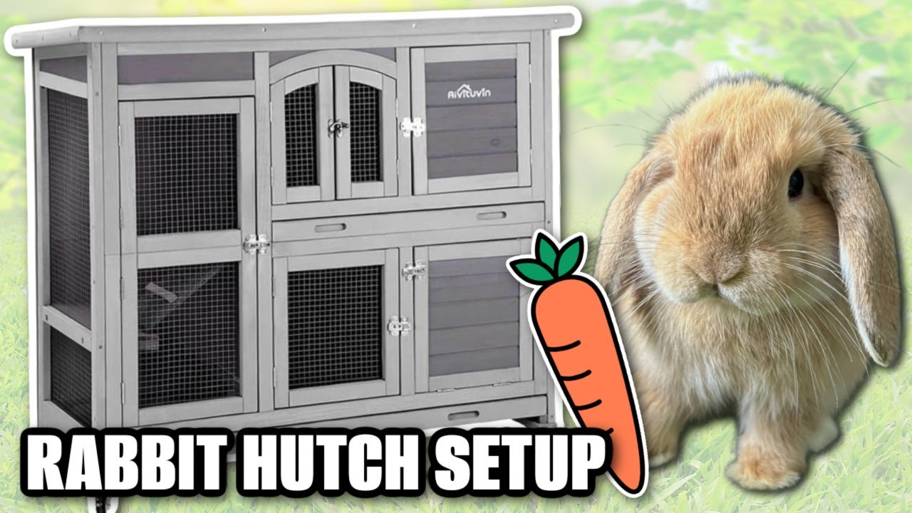 OUR RABBIT HUTCH UNBOXING & SETUP AIVITUVIN AIR06-C | BUNNY CAGE SETUP