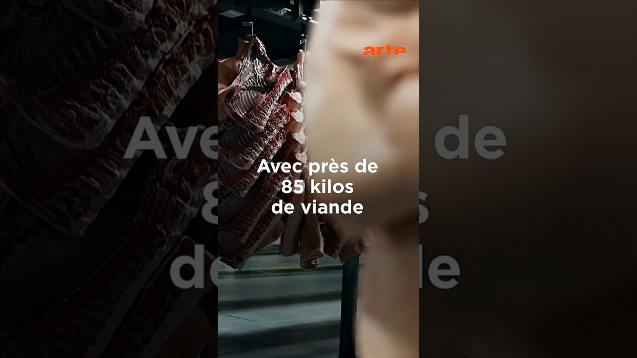 Consommons-nous trop de viande ? 🍖 