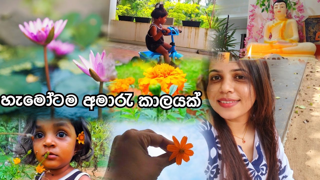 පිස්සුවෙන් වගේ ගෙවුණ දවස්😪