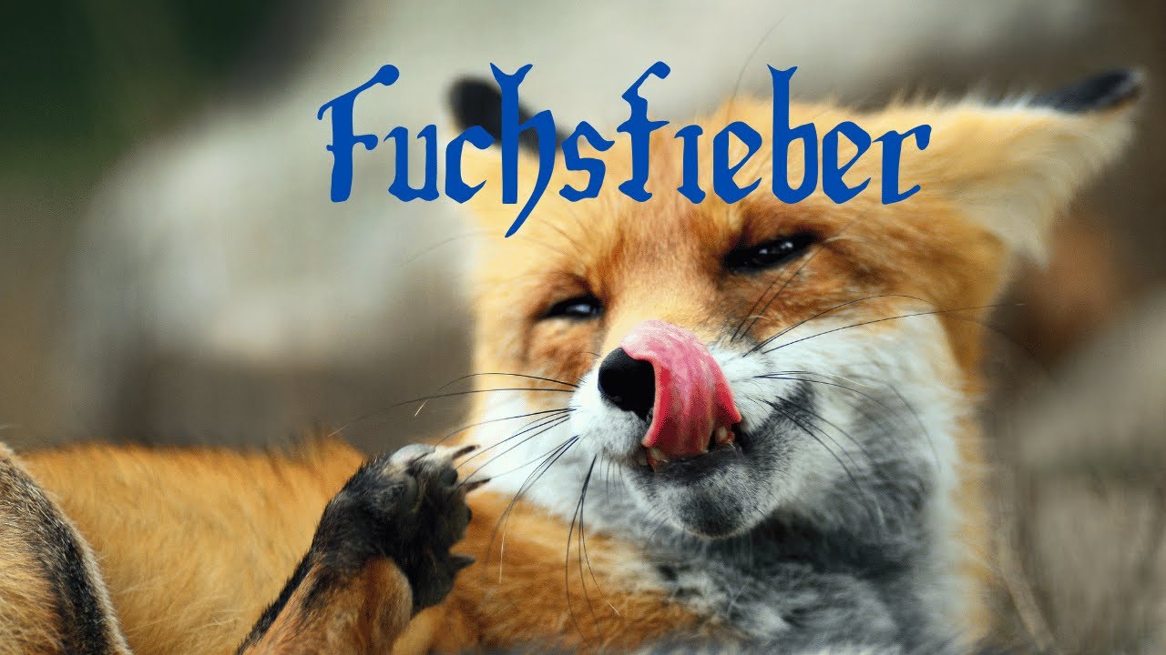 Fuchsfieber - Fazination Raubwildjagd
