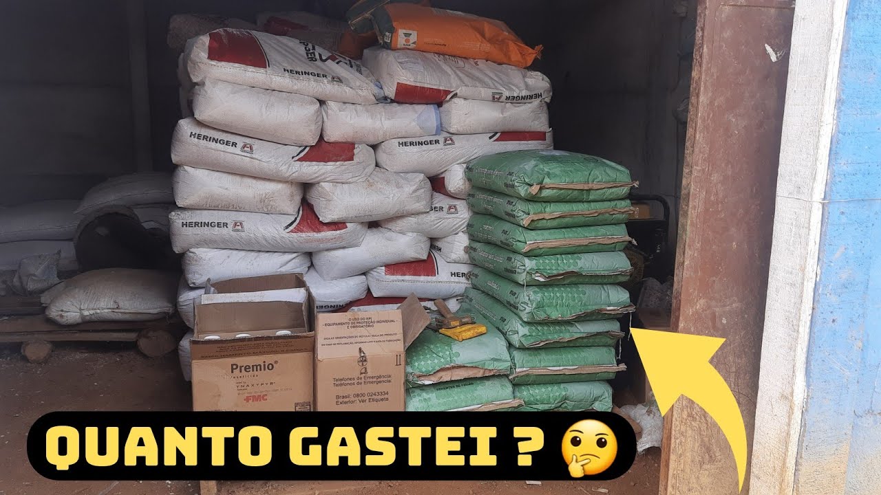 Quanto gastei para plantar 4 HECTARES de feijão em 2023 ???