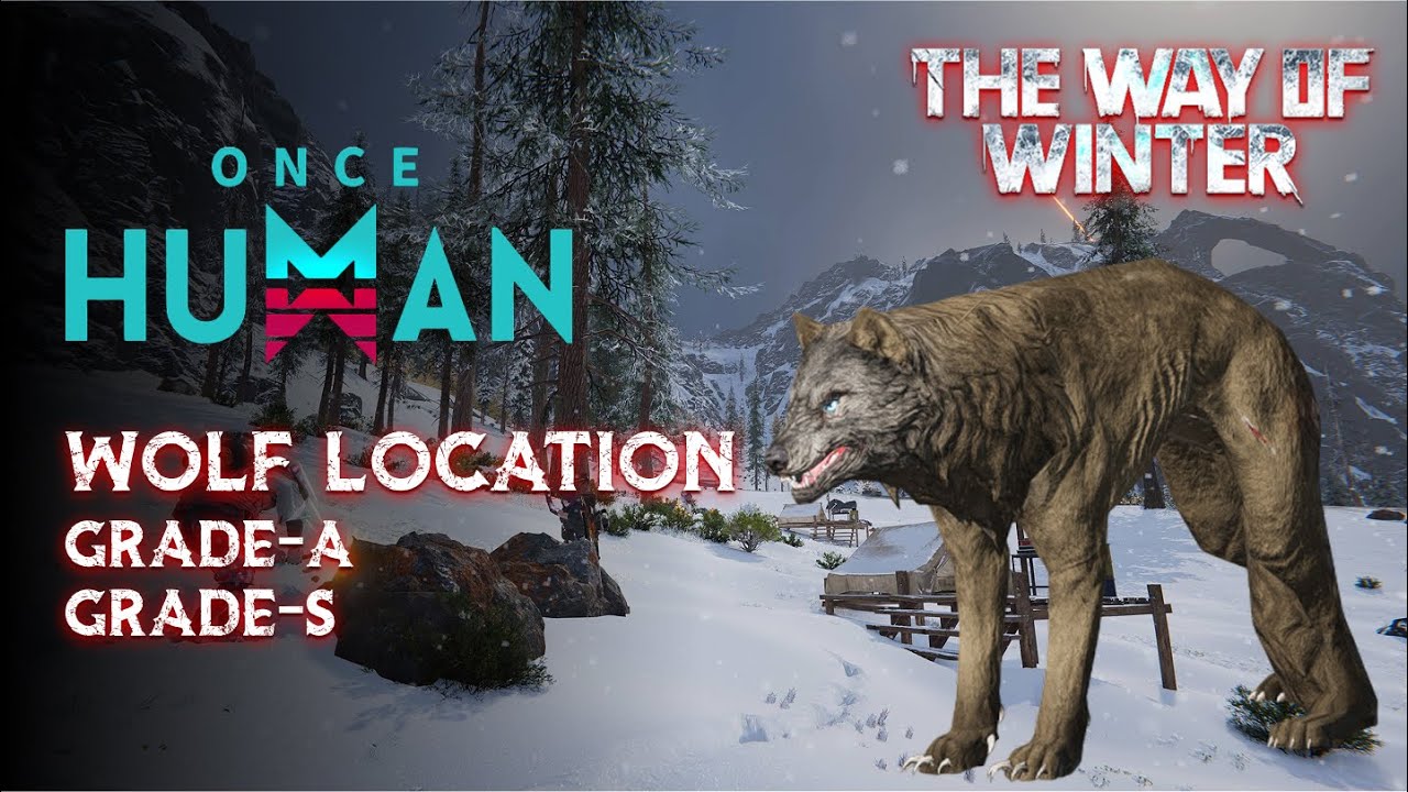 Where to Find Wolves in Once Human  | Way of Winter |