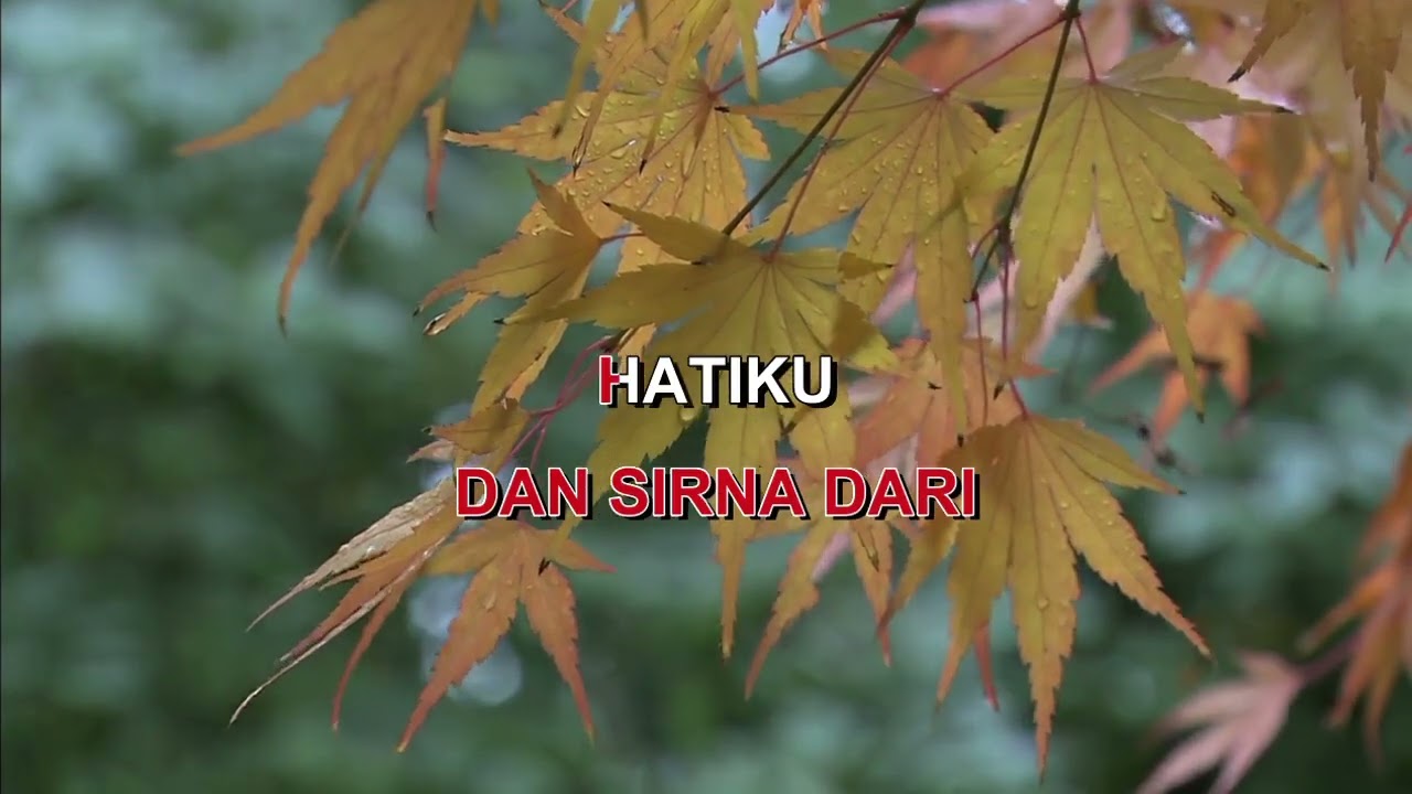 1 2 3 Indonesian Malay Karaoke