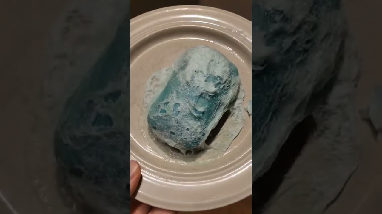 What happens when you microwave Soap? #science #shorts #experiment