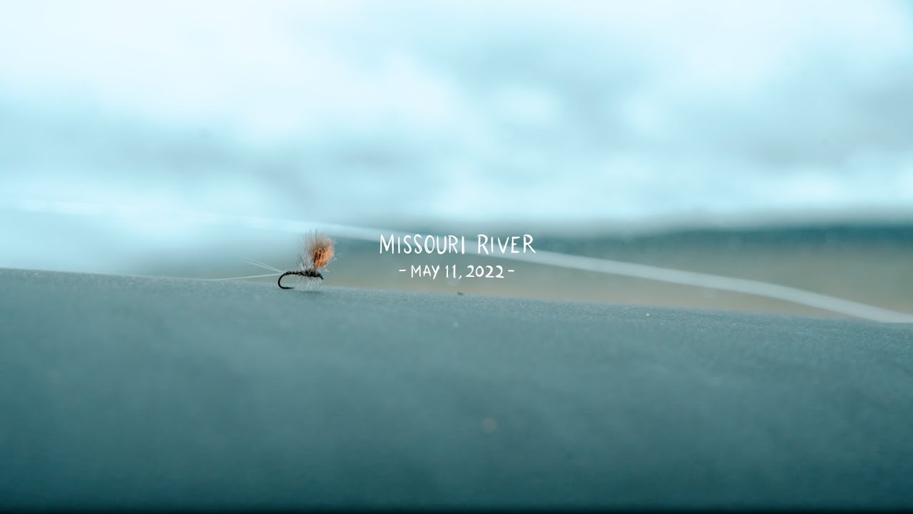 BWO Hatch On The Missouri River | Jack Lope Dry Fly Rod