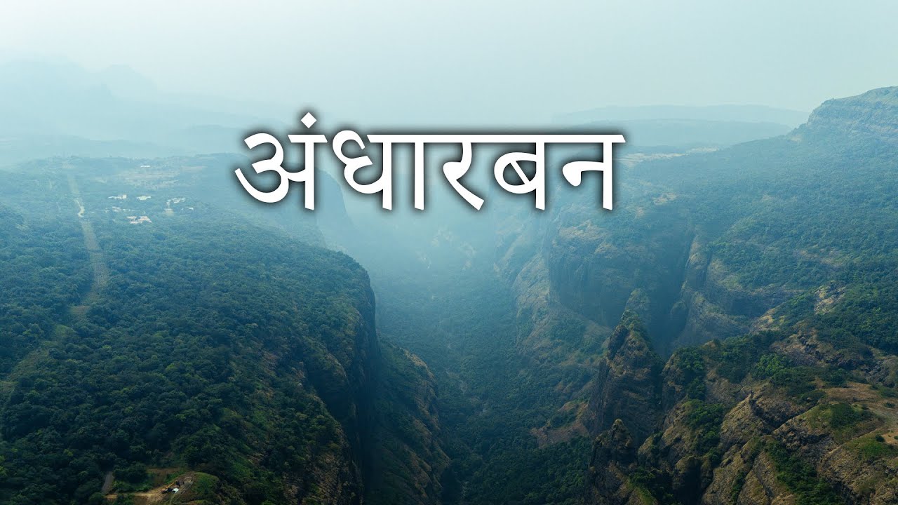 Andharban Jungle Trail | Dark Forest Of Maharashtra | Andharban Trek | The Most Scenic & Easy Trek