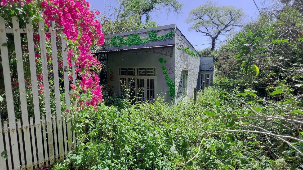 This WWII House Has Been Abandoned for Decades. Watch the Transformation!