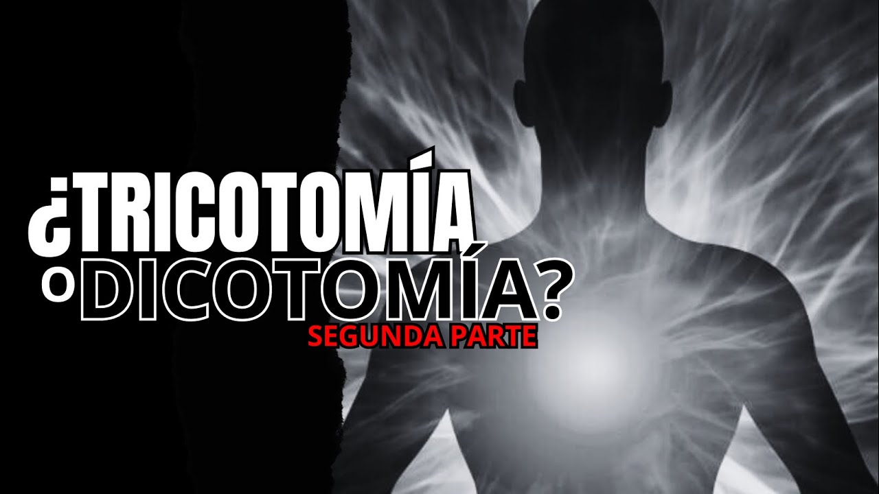¿TRICOTOMÍA O DICOTOMÍA? - (PARTE 2)