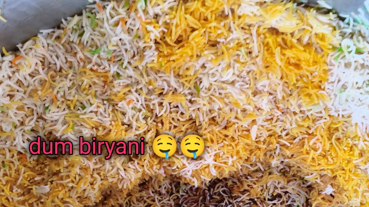 Special Biryani 🤤Dahanu Road #vlog #biryani 