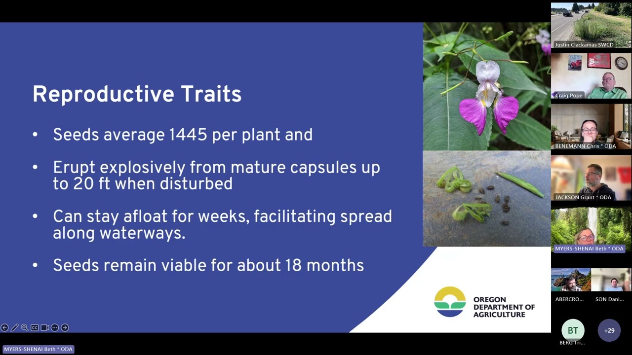 Заседание Совета по борьбе с сорняками штата Орегон: 11 февраля 2026 г.