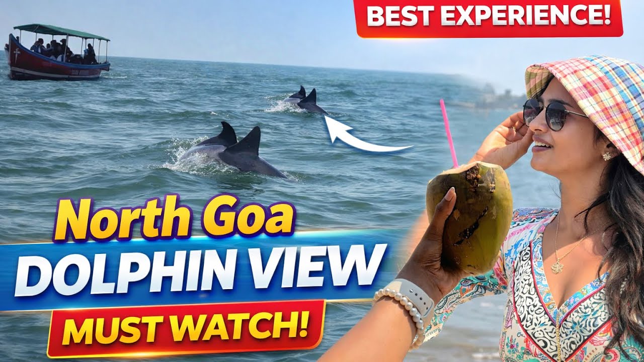 North Goa Dolphins View 🐬| Coco beach🌊| my cooking vlog👩🏻‍🍳| pyro’s girl♥️