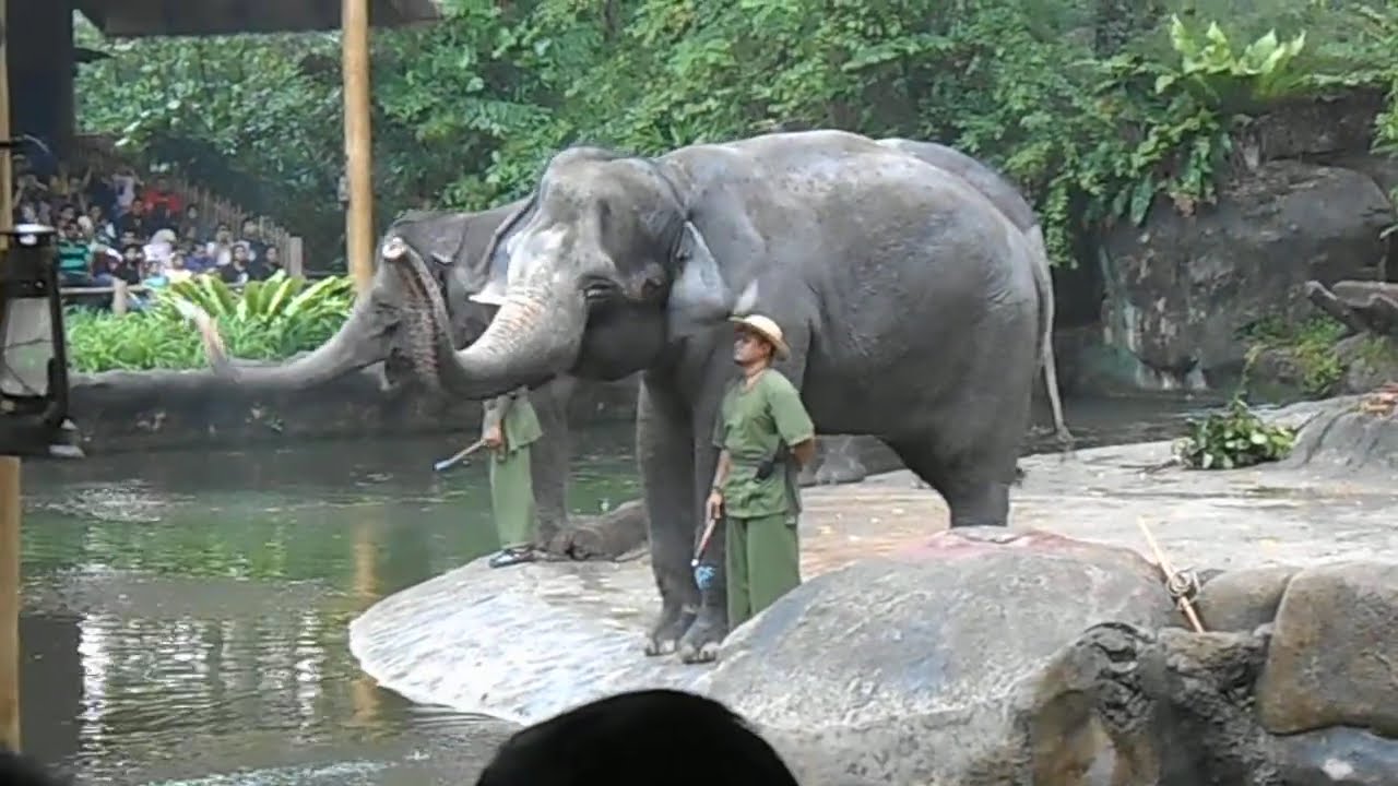 Zoo Singapore