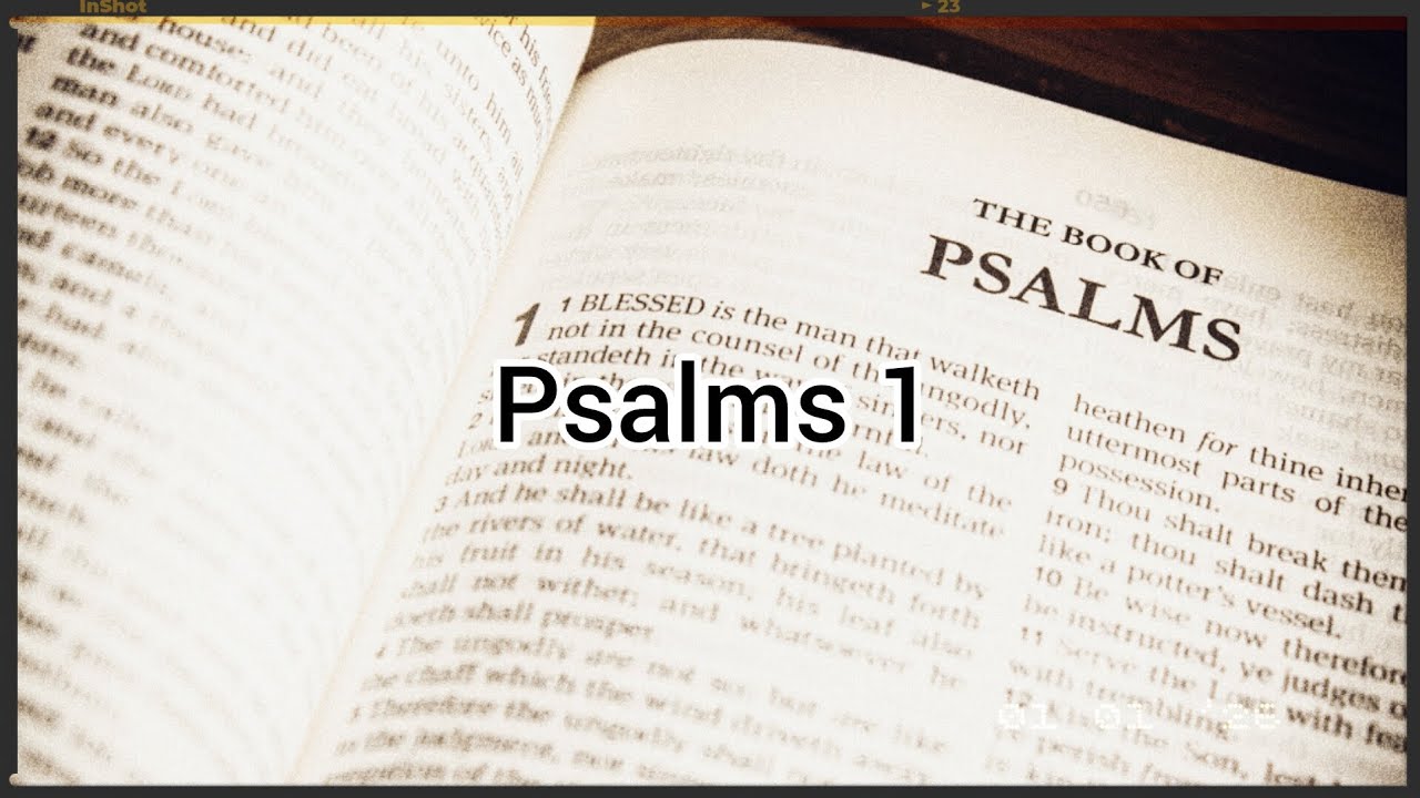 Daily Devotional Day 1 (Psalms 1)