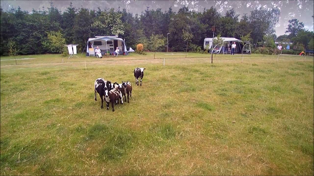 Camping Bergwever 50 plus camping Haarle