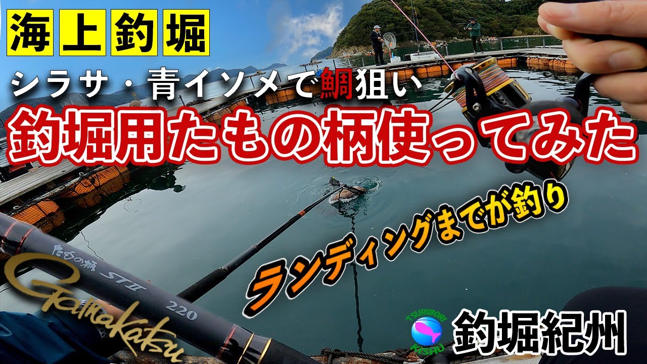 【海上釣堀】ランディングまでが釣り 鯛で使ってみた！釣堀用たもの柄