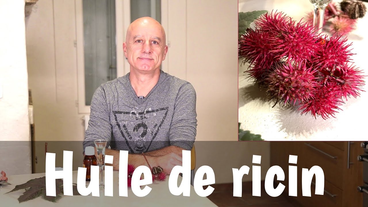 Huile de ricin : constipation, cataplasmes, santé des cheveux et des ongles