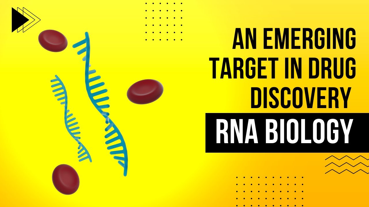 RNA Biology : An Emerging Target in Drug Discovery
