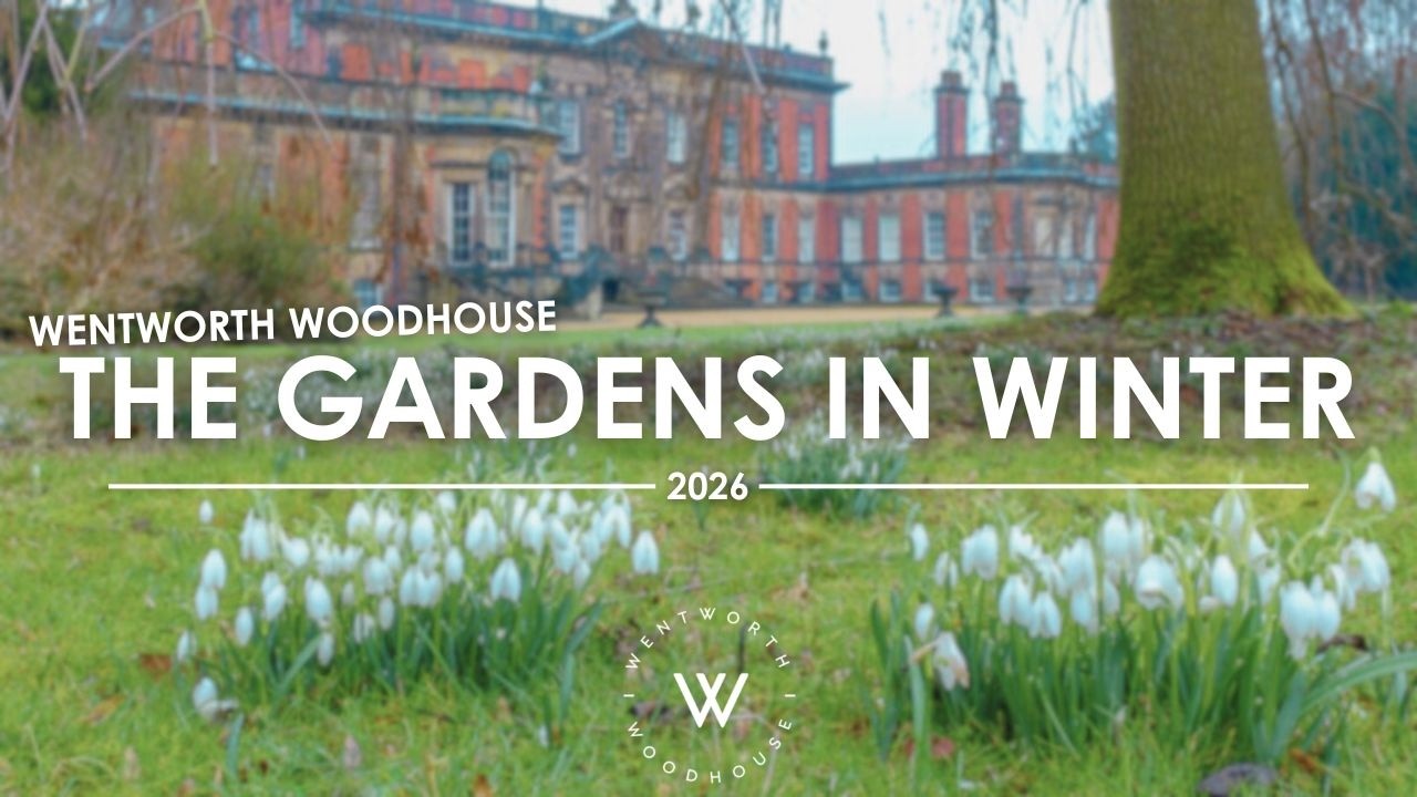 Сады зимой | #wentworthwoodhouse |