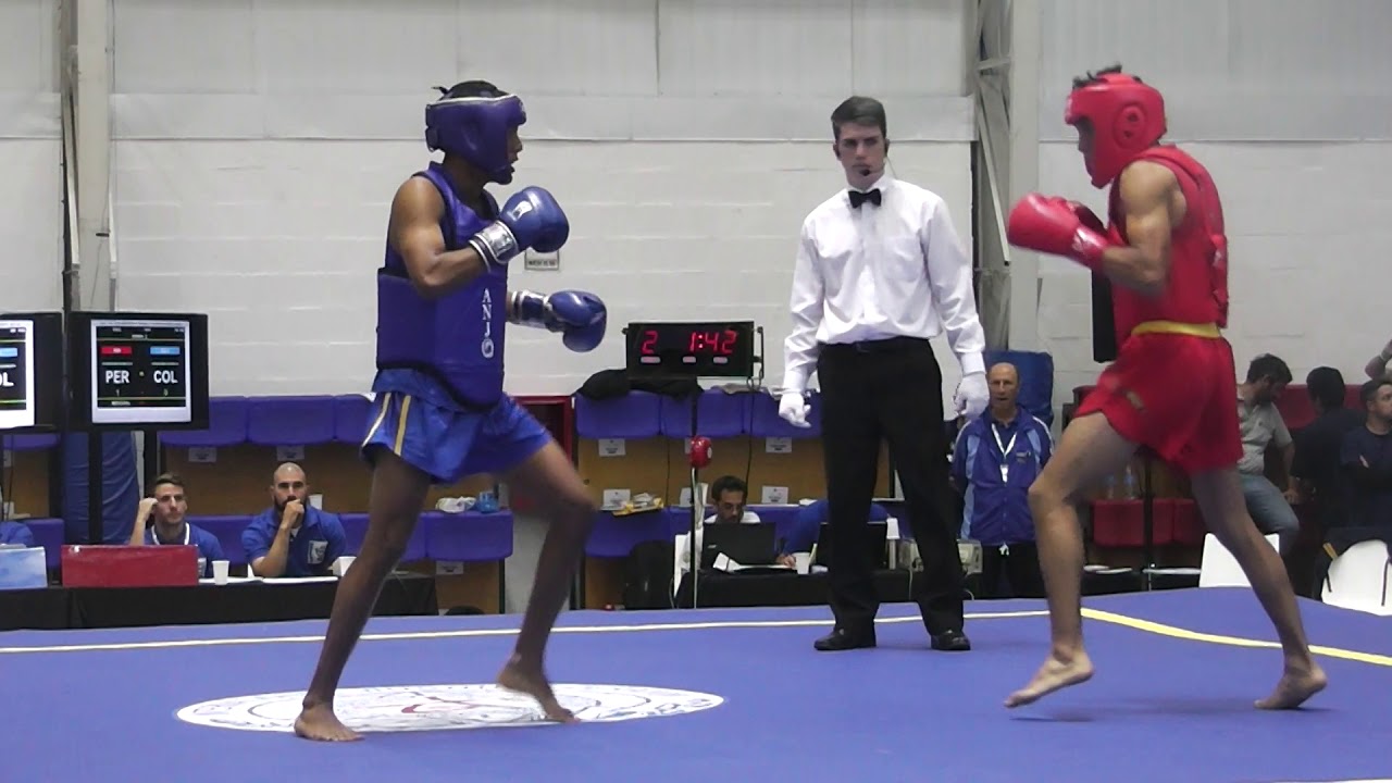 12th Pan American Wushu Championships Sanda Men 60kg - Peru vs. Colombia